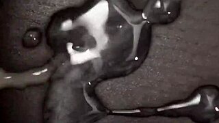 Britney Swallows As Og Cum Bucket In Homemade Panties Pussy Action