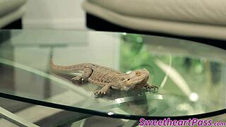 Black Milf Licks And Fingers Brunette Teen 18+ Ebony Pussy In Interracial Lesbian Action With Natural Tits Worship.