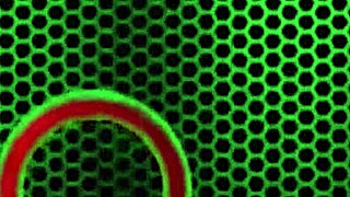 Carmella Clutch Anal Creampie From Rome Major