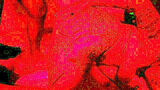 hot tat girl chokes on muscular bbc before rough interracial assfucking and cum swap!