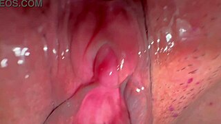 amateur asian wife licks shaved pink pussy 227 days post virginity loss close up