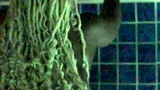 Curvy ebony milf pussy ripped quickie bbc couple fuck