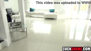 Hey cuck why spy on your wife sucking that big cock?