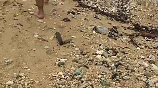 Sexy Asian Wife's Big Tits Bare On Beach Voyeur Nude Public Tease!